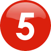 ���� ����������